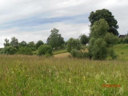 д. Гаврилково