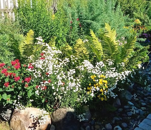 Лучший цветник 3 место Плюхина И.Ю.