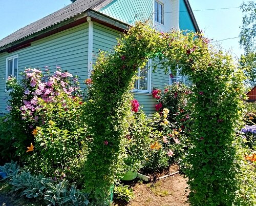 Лучший цветник 1 место Максимова Н.В.
