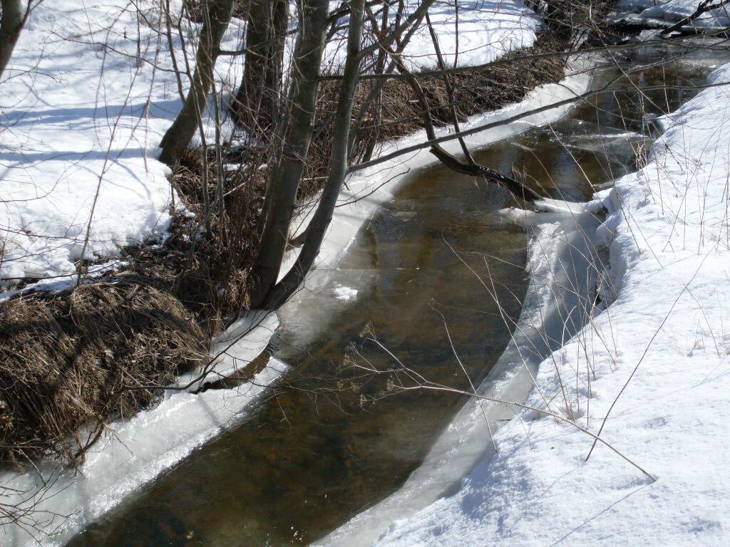 с.Золотилово река Ландуга