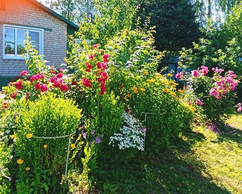 Лучший цветник 2 место Лебедева Т.П.