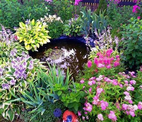 Лучший цветник 1 место Максимова Н.В.