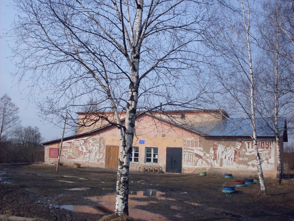 д.Гаврилково клуб