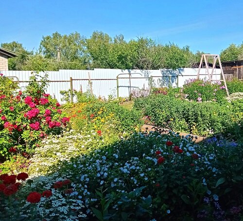 Лучший цветник 2 место Лебедева Т.П.