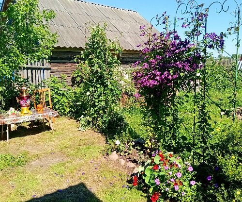 Лучший цветник 3 место Плюхина И.Ю.