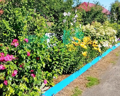 Лучший цветник 1 место Максимова Н.В.