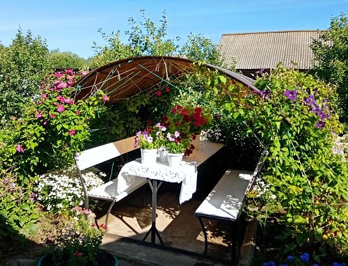 Лучший цветник 2 место Лебедева Т.П.