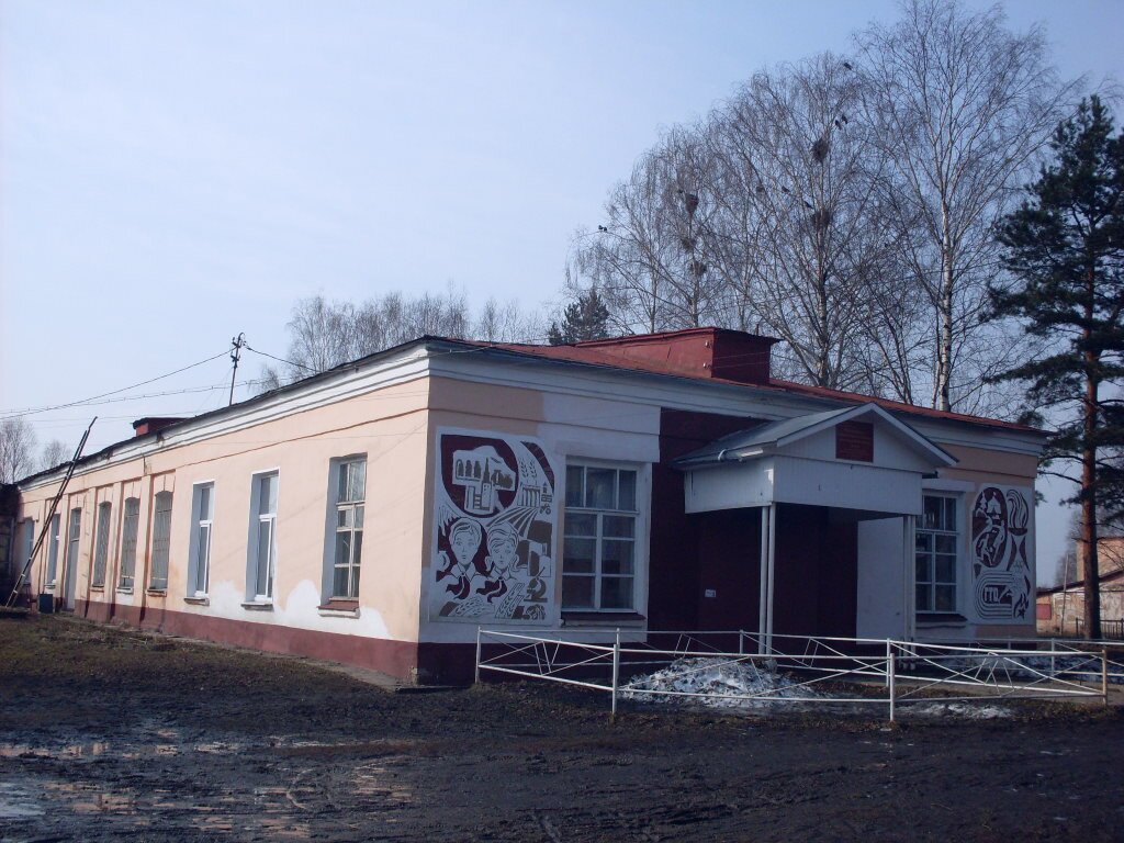 д.Гаврилково школа