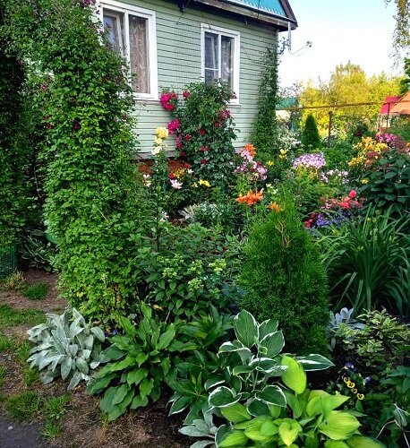 Лучший цветник 1 место Максимова Н.В.