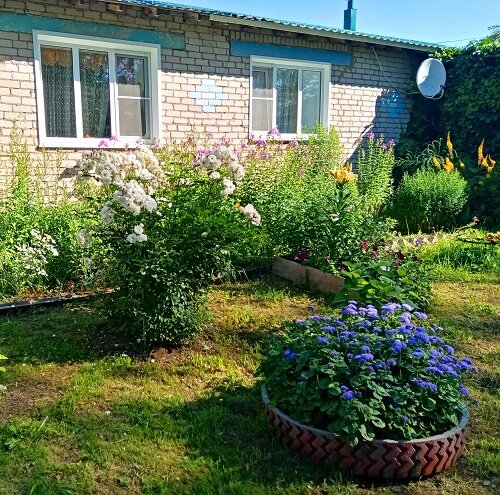 Лучший цветник 2 место Лебедева Т.П.