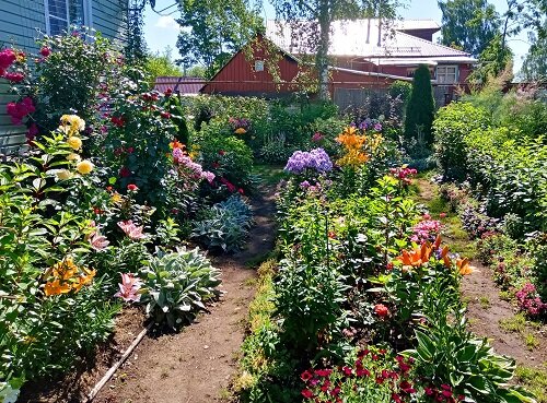 Лучший цветник 1 место Максимова Н.В.
