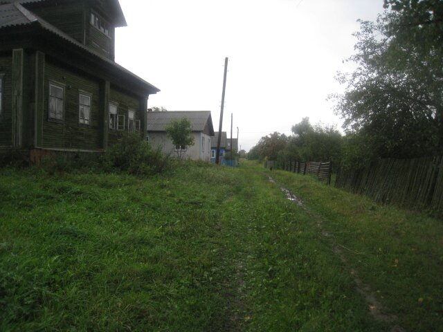 д.Гаврилково (3)