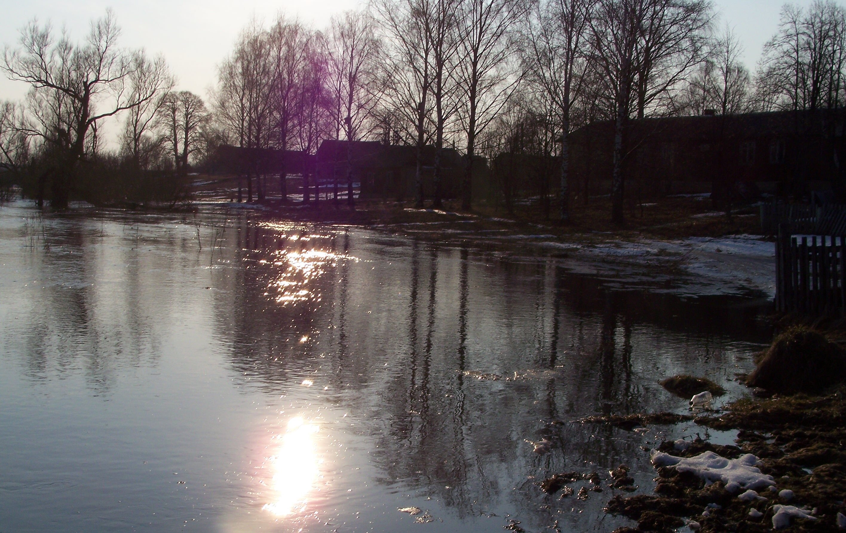 д.Гаврилково (2)