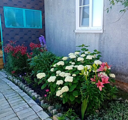 Лучший цветник 3 место Плюхина И.Ю.