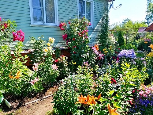 Лучший цветник 1 место Максимова Н.В.